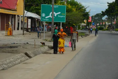 DSC_8746 (Large).JPG